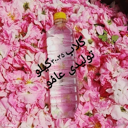 گلاب ۲ آتشه(گلاب سنگین)
